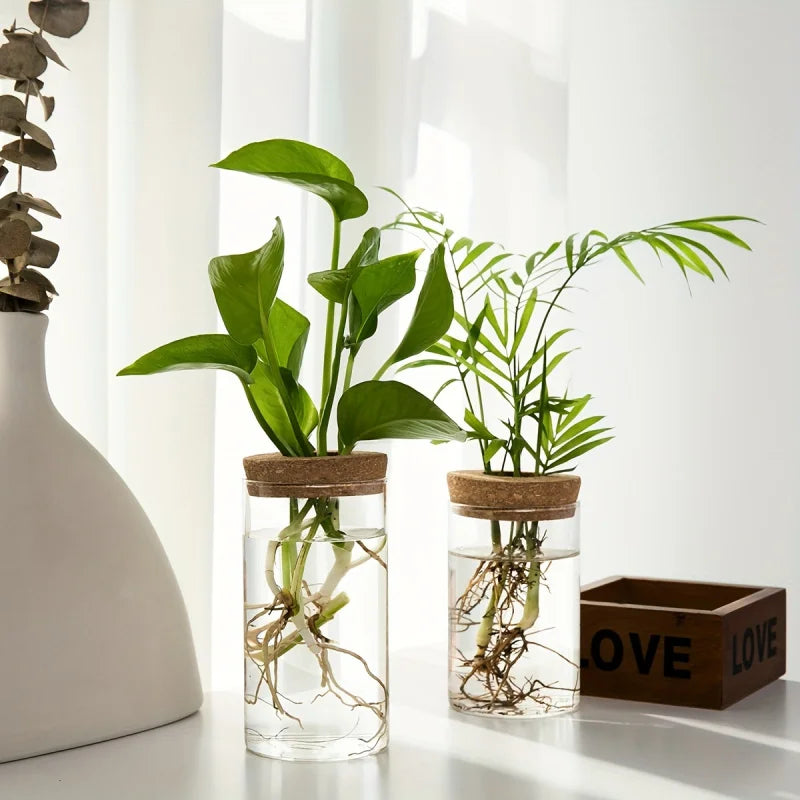 Chic Glass Plant Vase