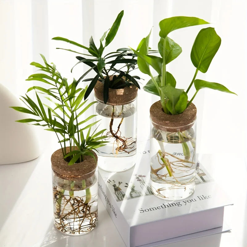 Chic Glass Plant Vase