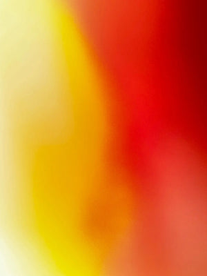 A34c2e9aa546040a28288b40a6d29702cX.jpg