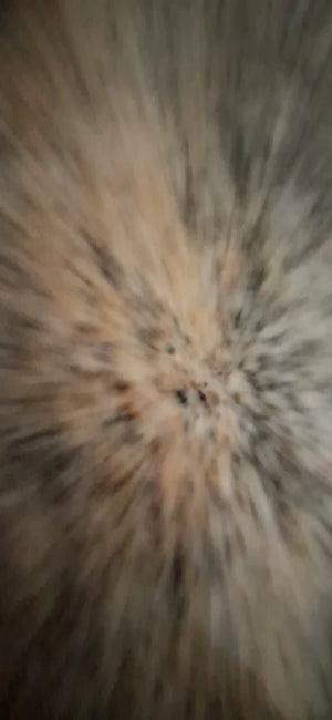 A38d0f83e93864d0bb2a302d61ca62621J.jpg
