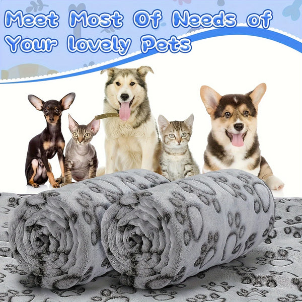 Cozy Cartoon Pet Blanket