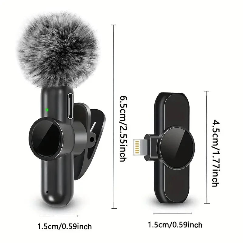 Pro Sound Mini Mic